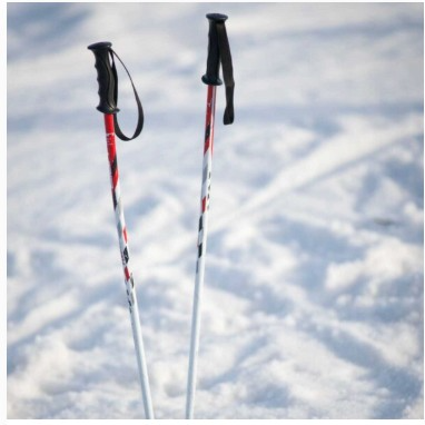 Ski Poles